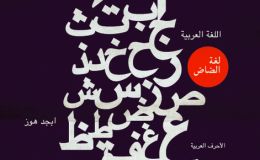 Manuscripts and Printed Books in Arabic Script in the Age of the E-Book: The Challenges of&nbsp;Digitization